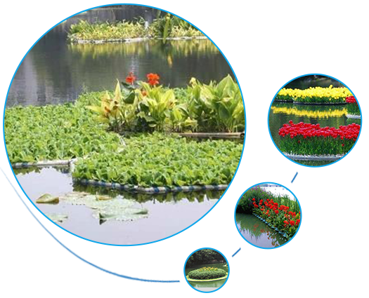 人工浮床技術(shù)