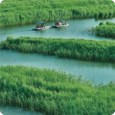 地表水流域綜合治理項(xiàng)目案例