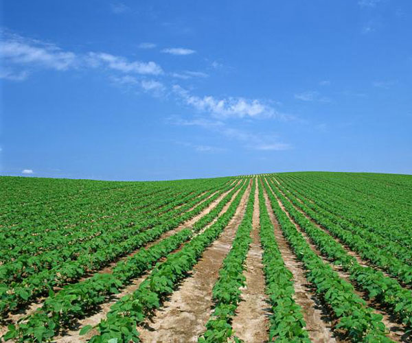 東風吹戰鼓擂！ 第三方檢測掌舵萬億土壤修復江湖