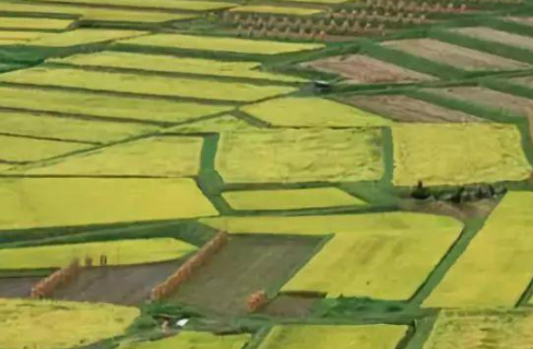 華清環(huán)境：如何治理農(nóng)田土壤中重金屬污染？