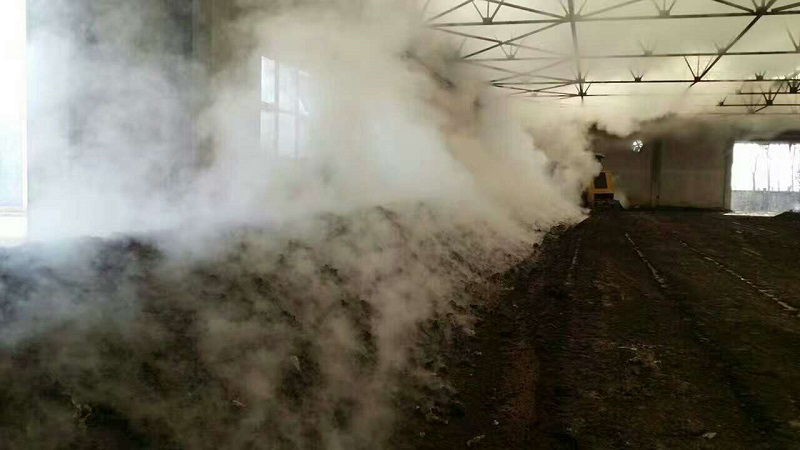 微生物土壤修復 重金屬污染 微生物土壤修復 重金屬污染