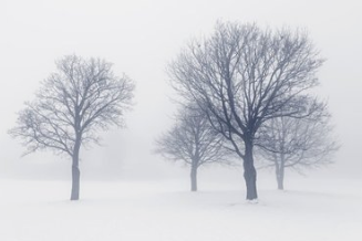 1614585339293186.png 氣候調查.png