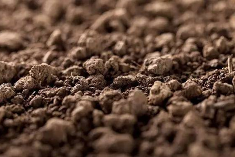 <a href=http://m.2623317.cc/turangjiance.html>土壤檢測</a> 土壤檢測