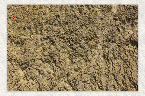 <a href=http://m.2623317.cc/turangjiance.html>土壤檢測</a> 土壤檢測