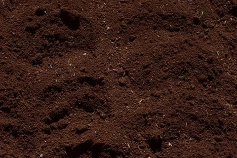 <a href=http://m.2623317.cc/turangjiance.html>土壤檢測</a> 土壤檢測