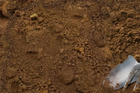 <a href=http://m.2623317.cc/turangjiance.html>土壤檢測</a> 土壤檢測